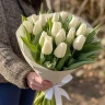 Букет 19 белых тюльпанов